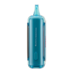 Blueberry Watermelon RAZ LTX 25000 - Image 2
