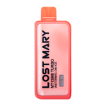 Watermelon Ice Lost Mary MT15000 Turbo